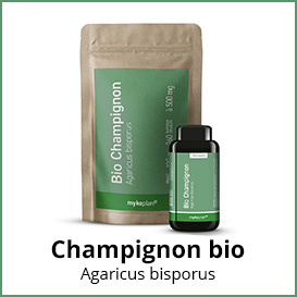 Champignon bio