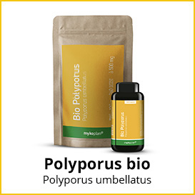 Polyporus bio